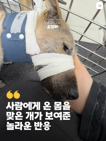 a579970291e4e.png
