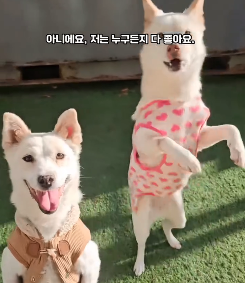 a6b6e93b6b7ba.png