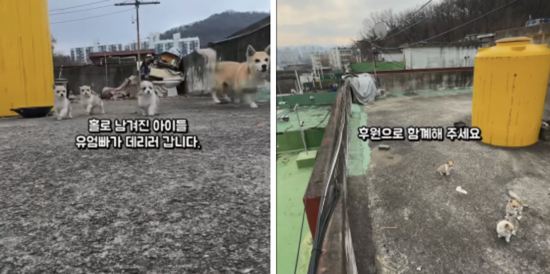 aff5ca8dd25c8.png