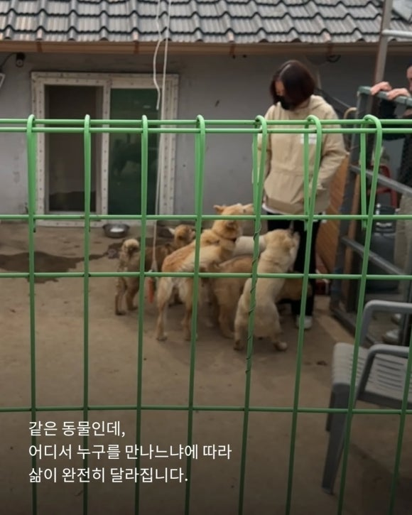 b1a55ee249a49.png