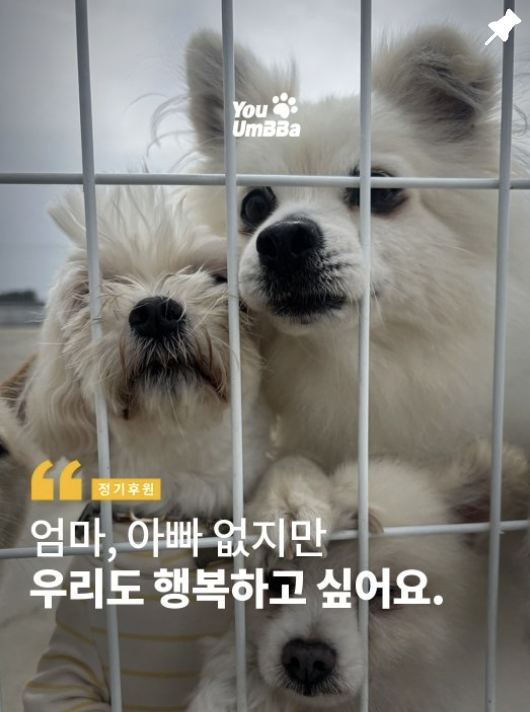 b2ab2e2744d28.png