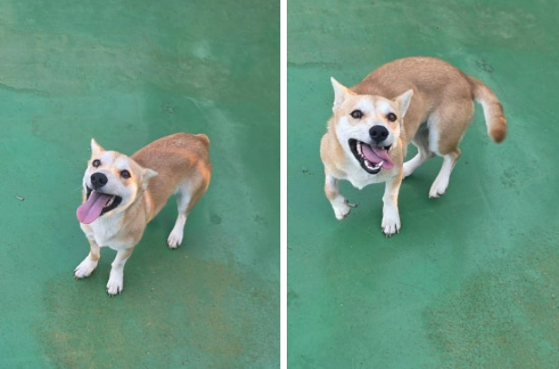 b382ef09f411a.png