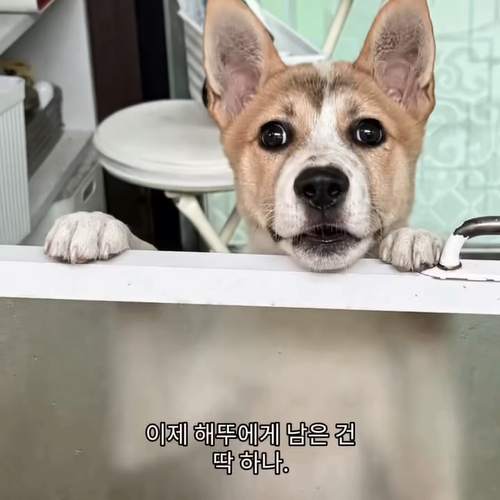 b51d316f150c6.png