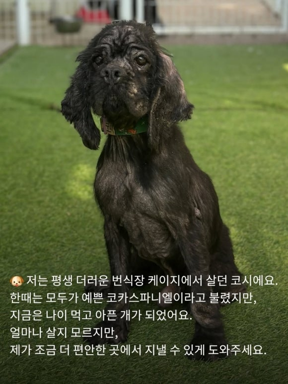 b5e94721c6d30.png