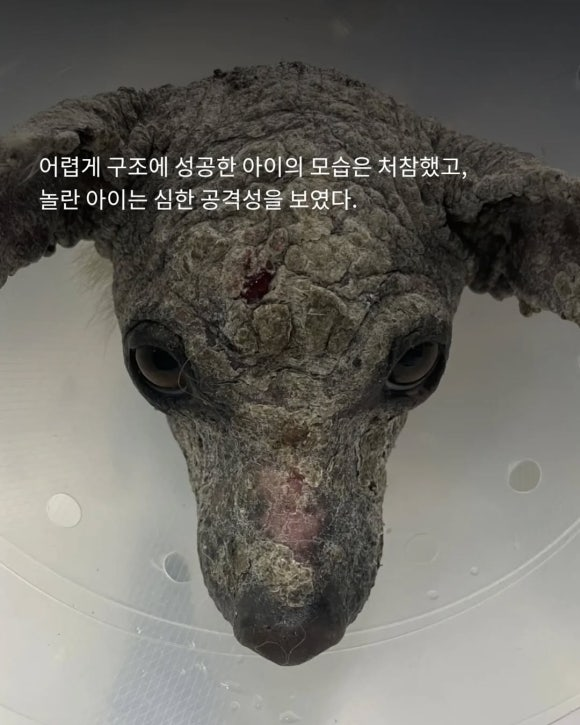 b8c094b201229.png