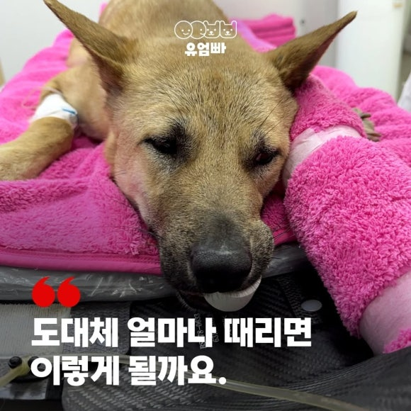 b933d581af580.png