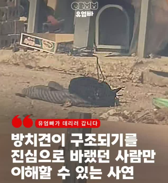 b9e96e948a73d.png
