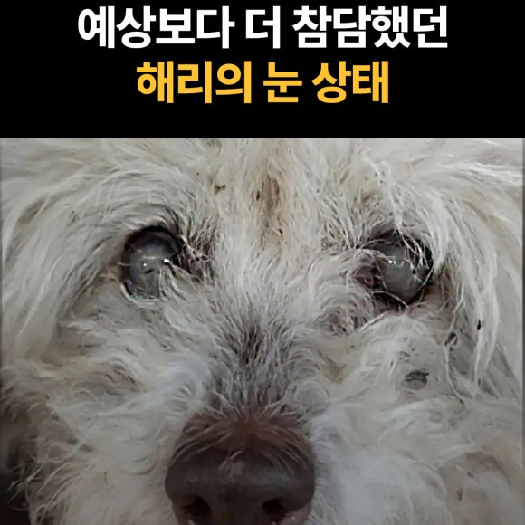 bce9f7774db90.png