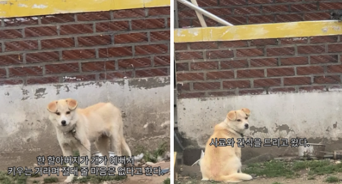 bd28a69e6b57b.png