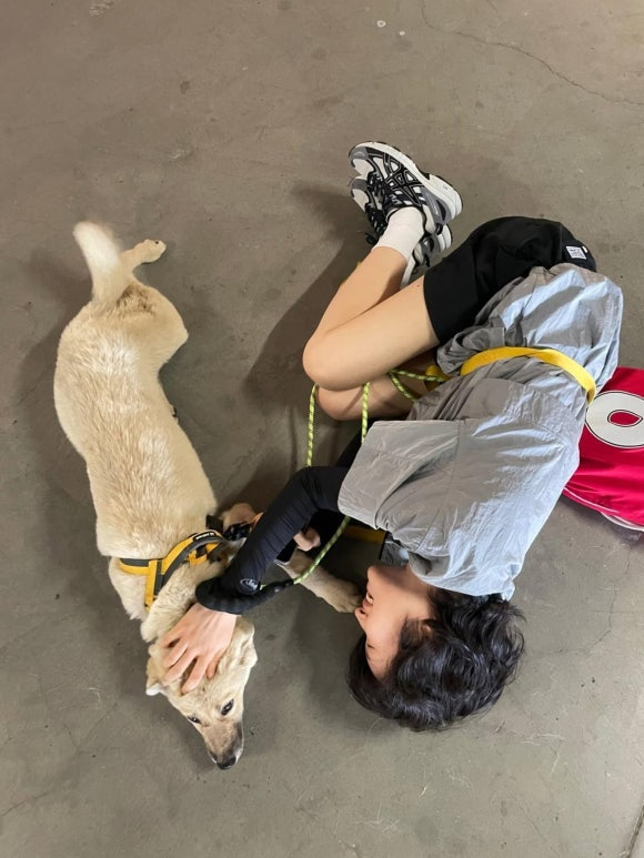 bfd77a26fcf33.png