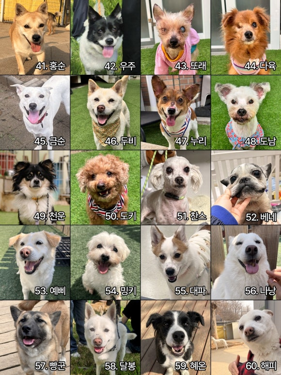 c061a3ca5fb40.png