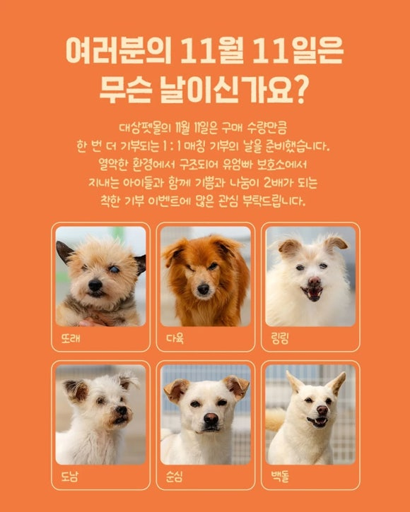 c66a5c56b47d0.png