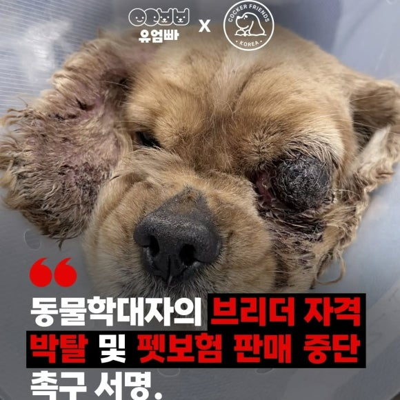 cbe43274b92a6.png