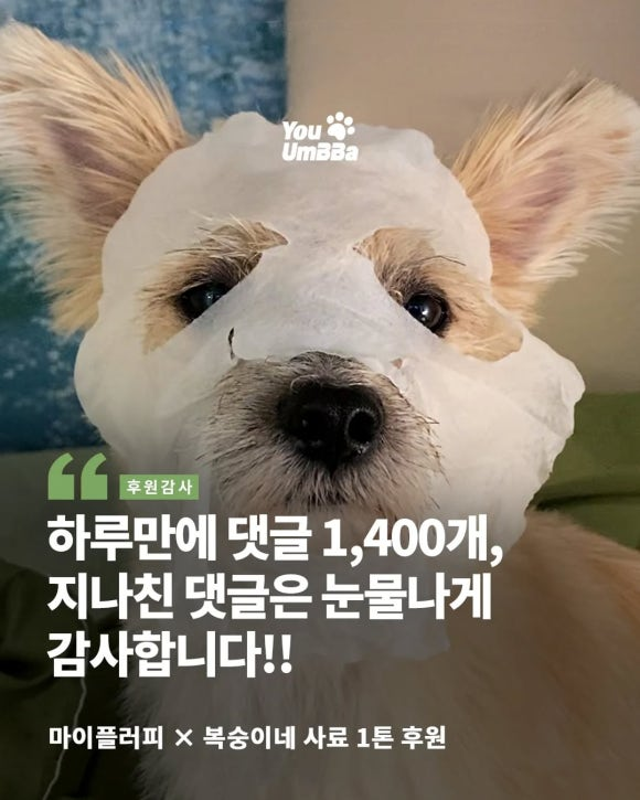 cc70c098036fb.png