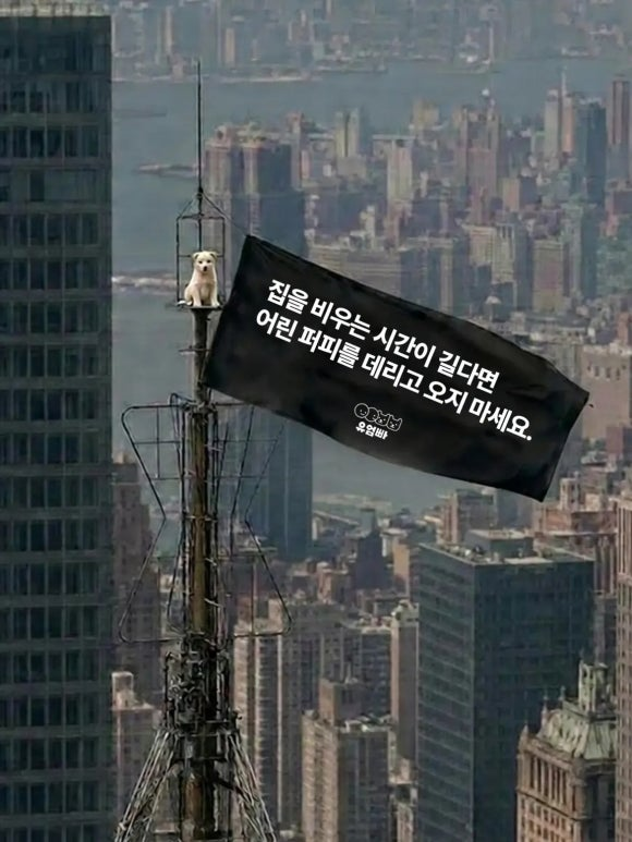 ccb14d311ee00.png