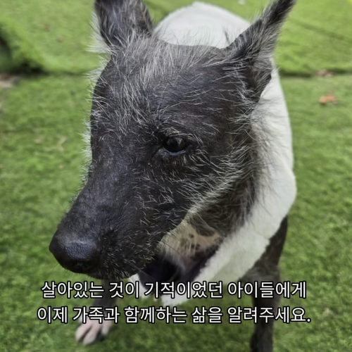 cd2665c6d9fb7.png