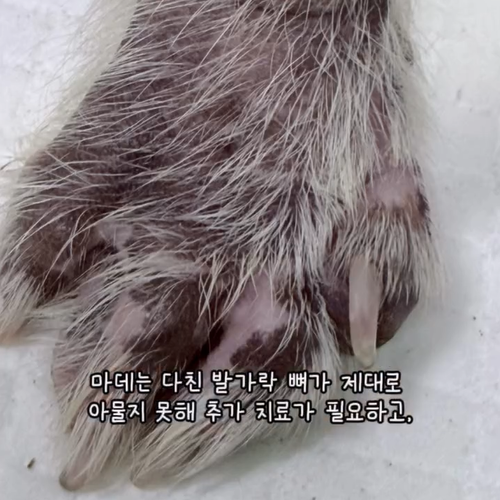 cea3f148abbdf.png