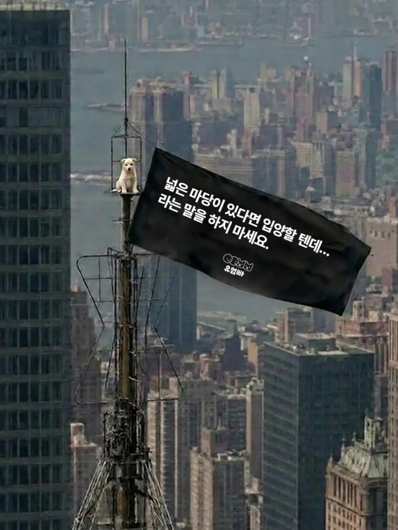 d1928ea243878.png