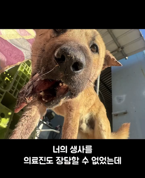 d46618f522a93.png