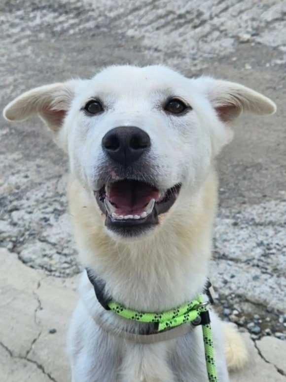 d6151ca48a1ed.png