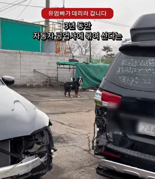 d65aaab173274.png