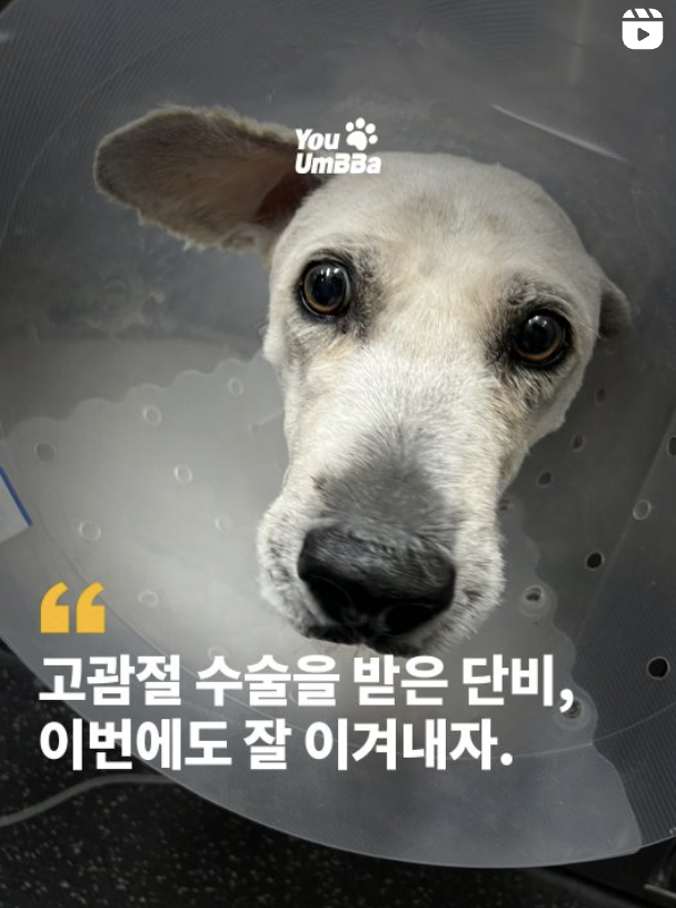 d6e8b3f972140.png