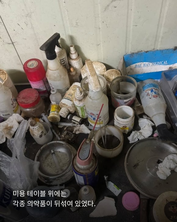 d70058b13064e.png