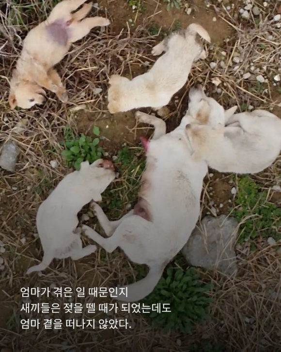 d8599f4879fbf.png