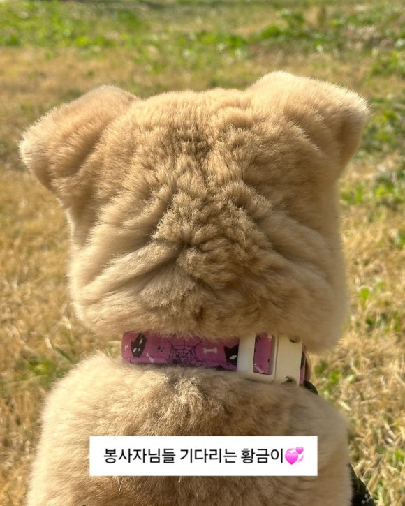d90450b6d6970.png