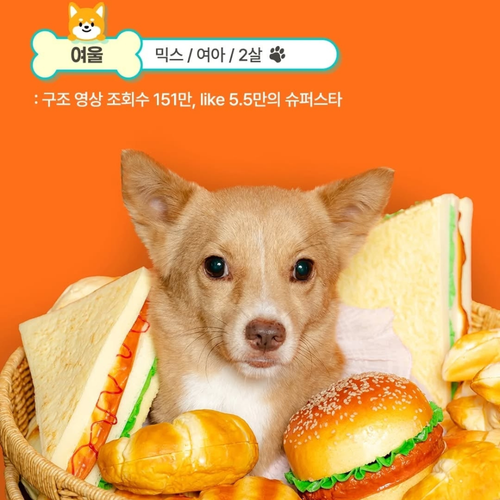 dcef78237df8f.png