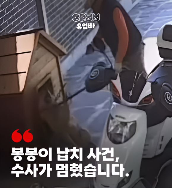 e39e98b7031e5.png