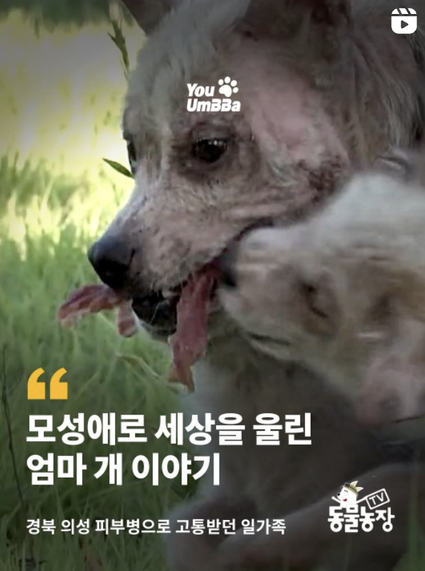 ee3a6443b0bb4.png