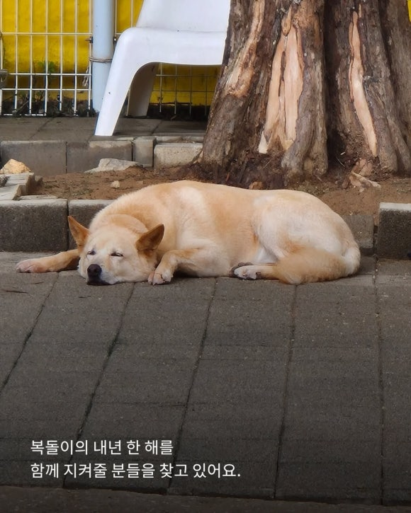 f339676b28c67.png