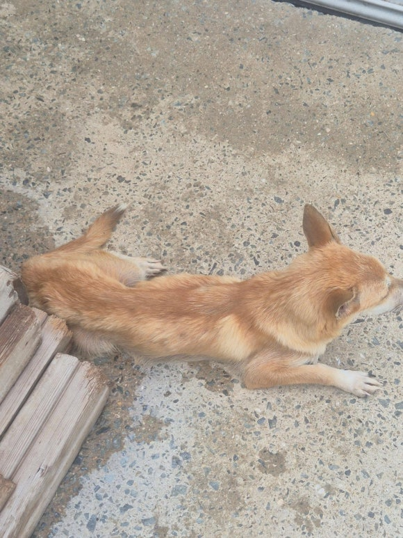 f3a7a88da9fb5.png