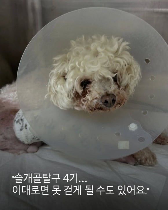 f5229ab920f56.png