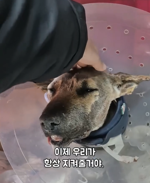 f64278cf4b2f8.png