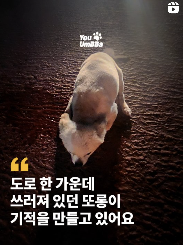 feee5b83920a9.png