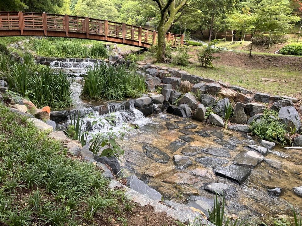24da2942f7bd9.jpg