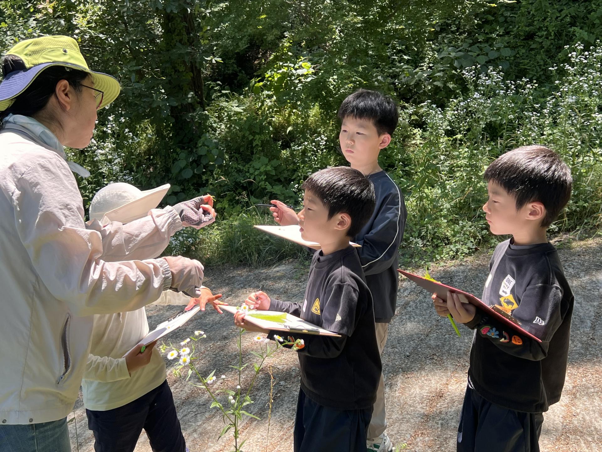 338806fe151bc.jpg
