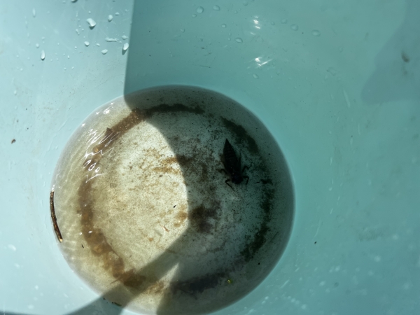 b4f4f03131845.jpg