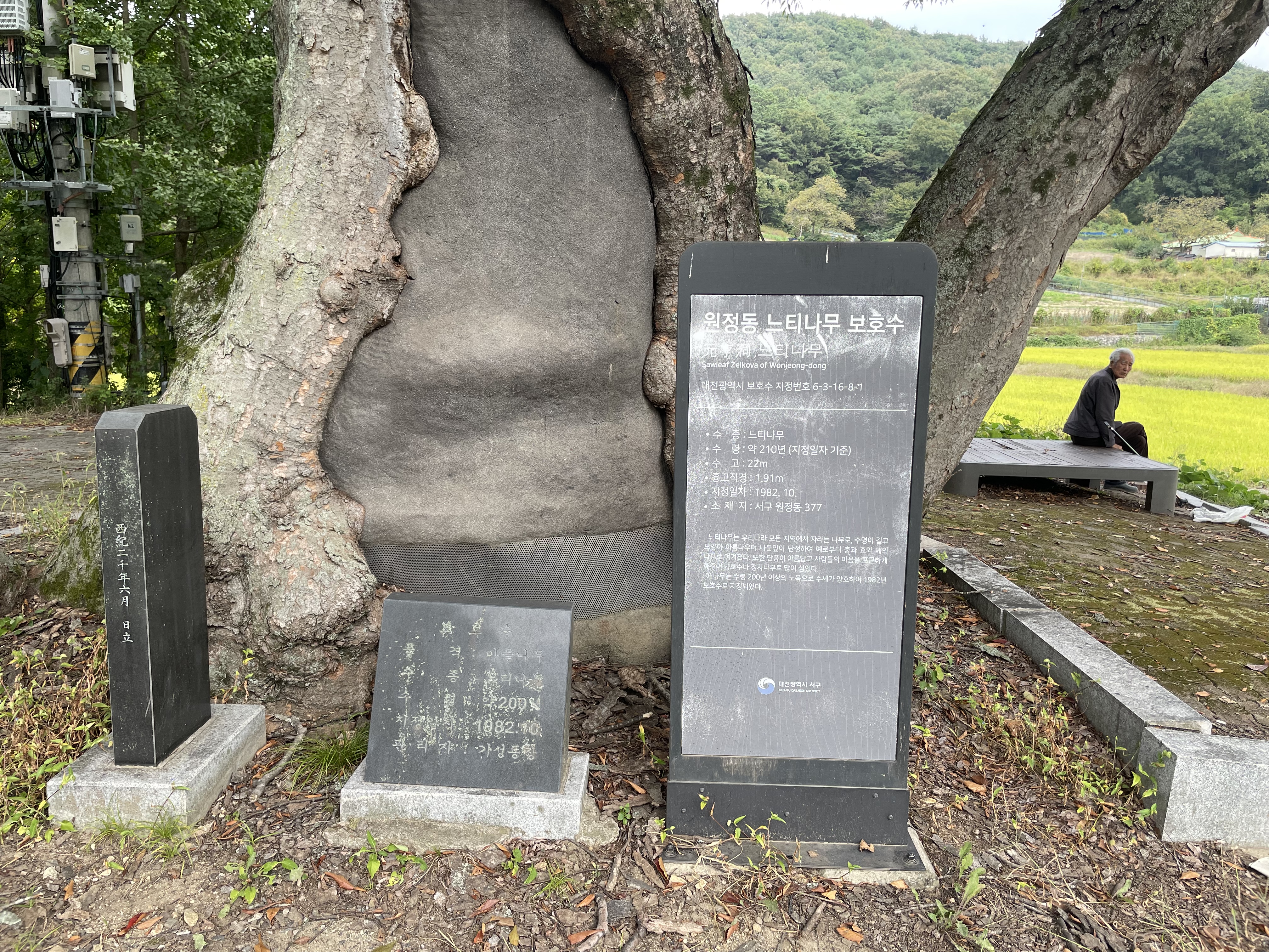 d852fc5381196.jpeg