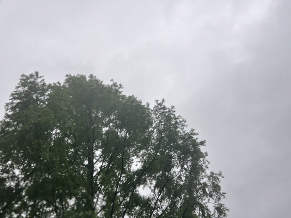 e95309e7726b5.jpg