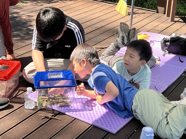 ef0985e9ac85f.jpg
