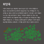 299d23a3c46eb.gif
