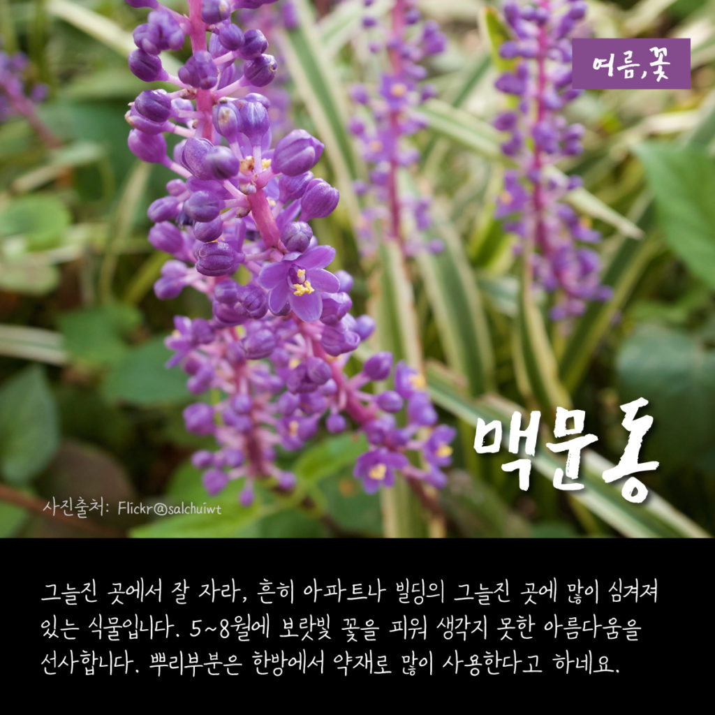 35026d8ccff6f.jpeg