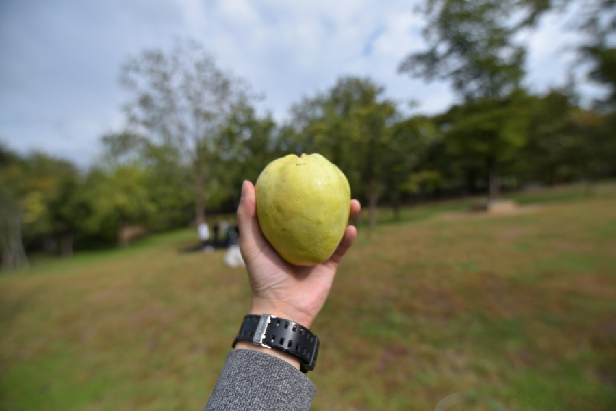 %ed%81%ac%ea%b8%b0%eb%b3%80%ed%99%98_161008_friendschildquince_078