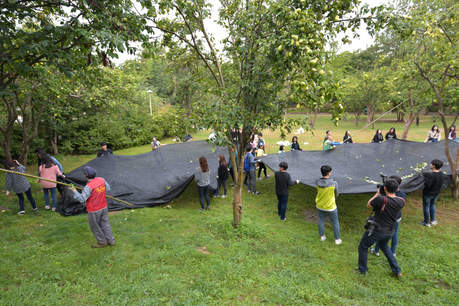 %ed%81%ac%ea%b8%b0%eb%b3%80%ed%99%98_161008_friendschildquince_001