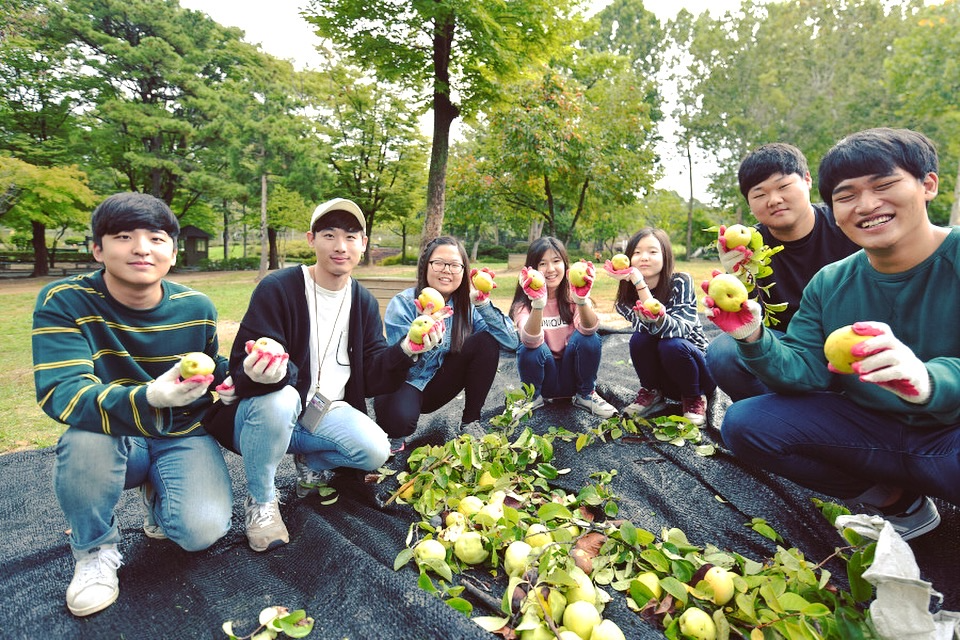 017d0b8cc491cd7ffa179f621f9560d50f504ace95