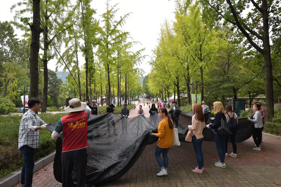 %ed%81%ac%ea%b8%b0%eb%b3%80%ed%99%98_161008_friendschildginkgo_024