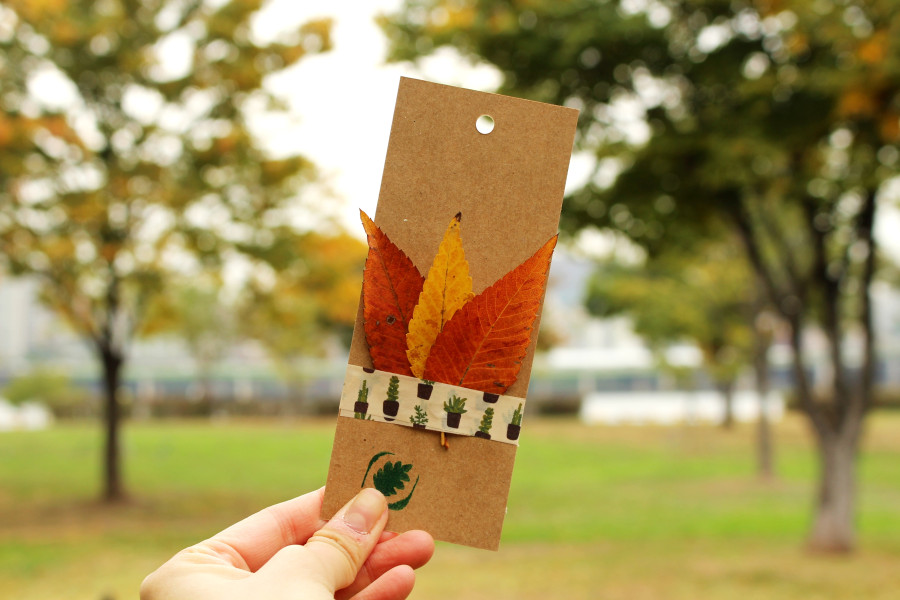 [숲가꾸기] 하나투어와 함께 한강에 팽나무와 나무수국 심기 : 블로그